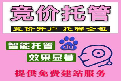 某行业sem竞价推广托管全解析